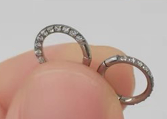 16G Pave DiamondのSegment蝶番を付けられた14K Gold Clicker Hoopの形