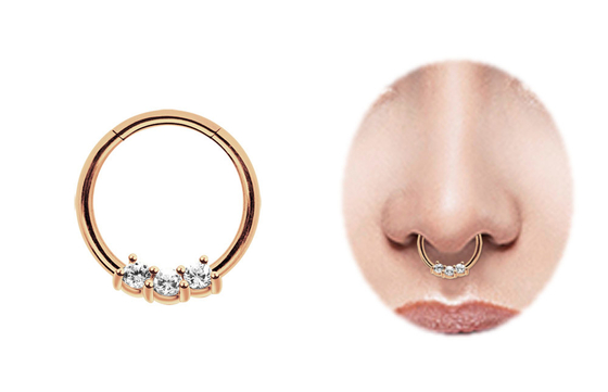 螺旋形14k Gold Septum Ring、Dailyの摩耗のための8mm And 10mm Nose Ring