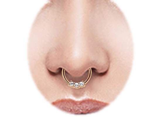 螺旋形14k Gold Septum Ring、Dailyの摩耗のための8mm And 10mm Nose Ring