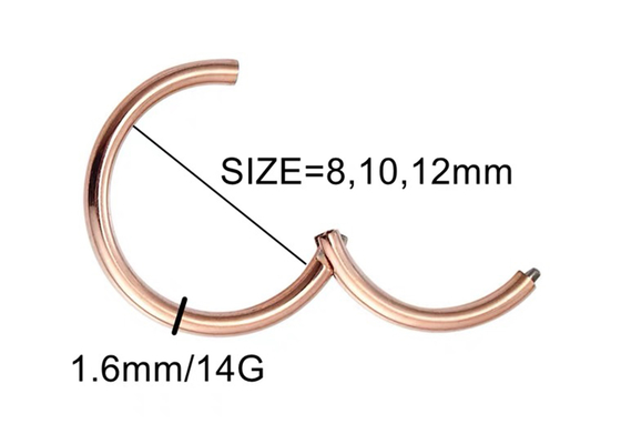 Periceing White Gold Clicker、Anniversaryのための14k Gold Hoop Earrings OEM ODM