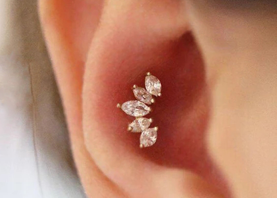 16g Crown Shape Gold Body Piercing Jewelry Earrings 6mm Length With Mq Diamond